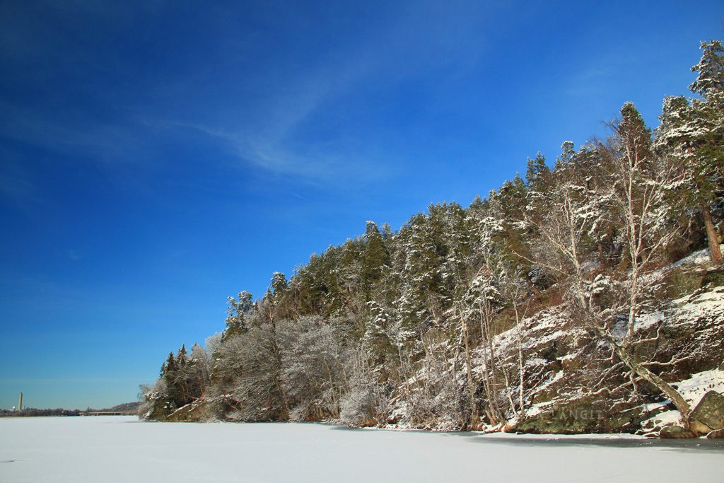 Hutan Flottsbro dan danau beku
