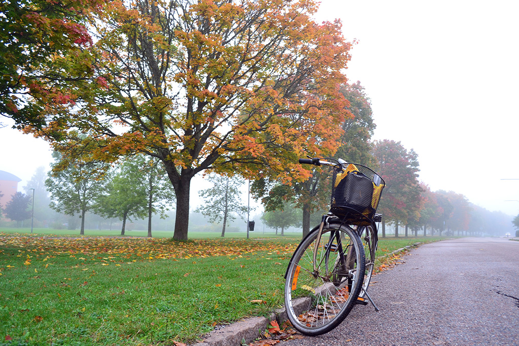 musim gugur di swedia